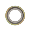 XS-S piral Wound Gasket - Semi