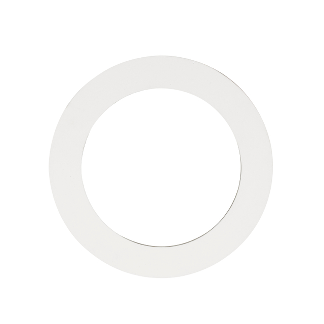 XS-G3080 Pure Ptfe Gasket